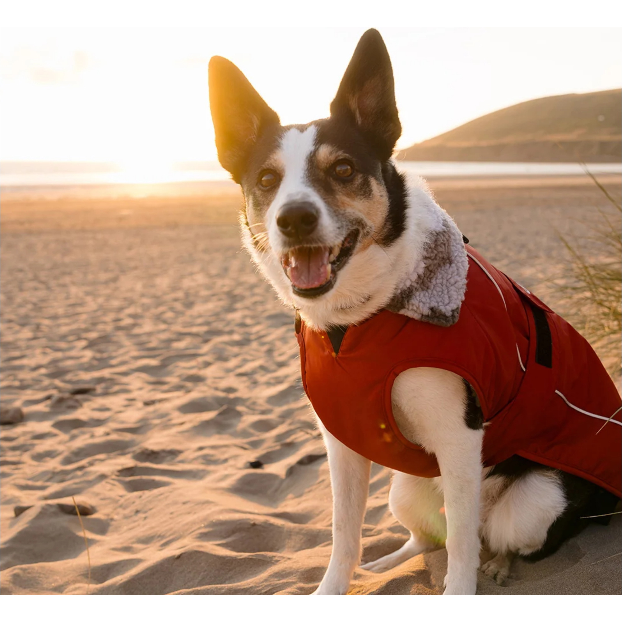 2026 Dryrobe Dog Coat V3DRDC - Burnt Orange